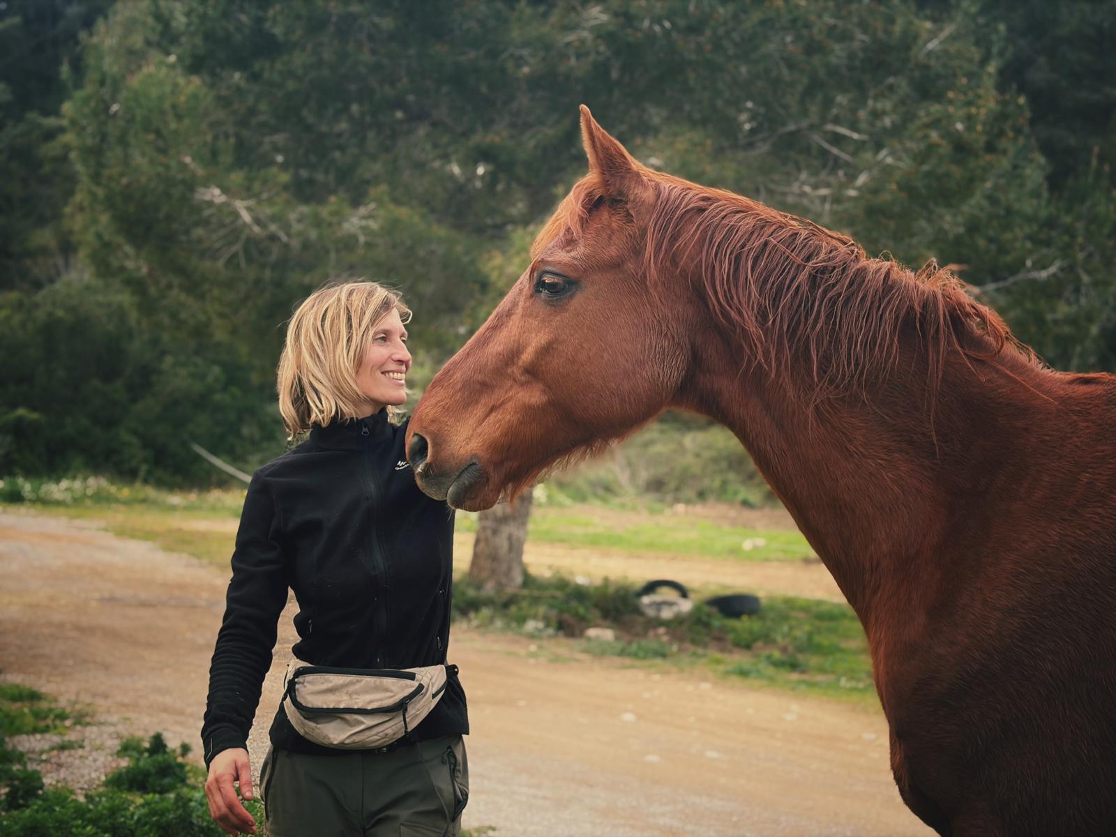 Sesión individual con caballos en libertad